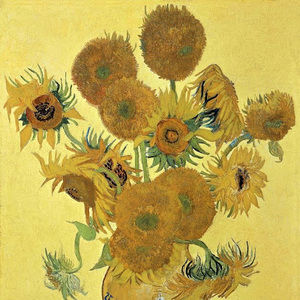 Meet your Posher, Marco